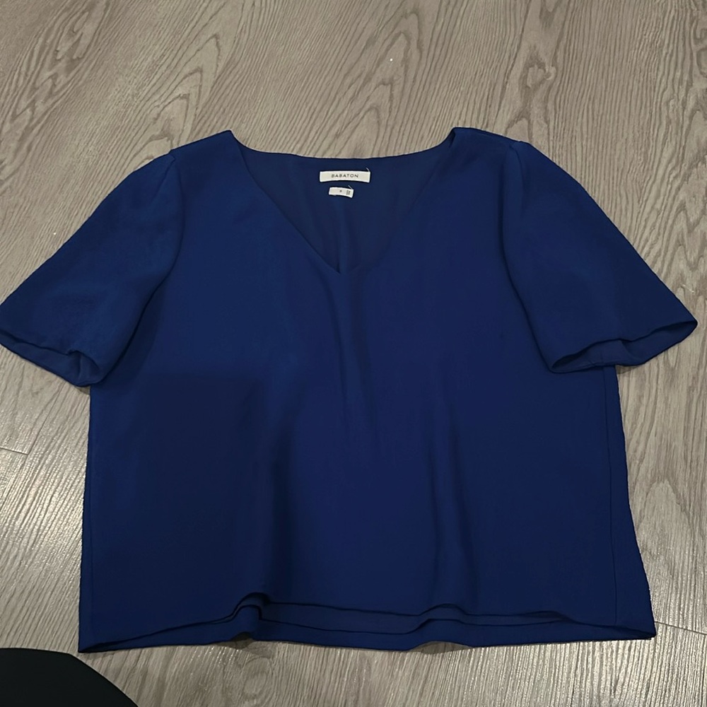 Aritzia Babaton blue crop top